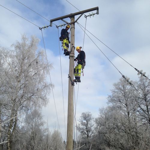 pole climbing electric lines security
