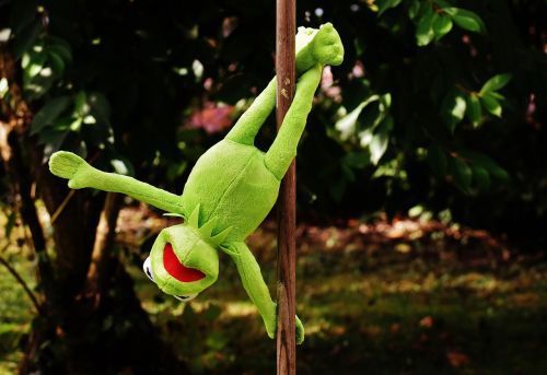 pole dance kermit funny