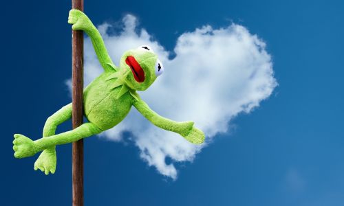 pole dance kermit funny