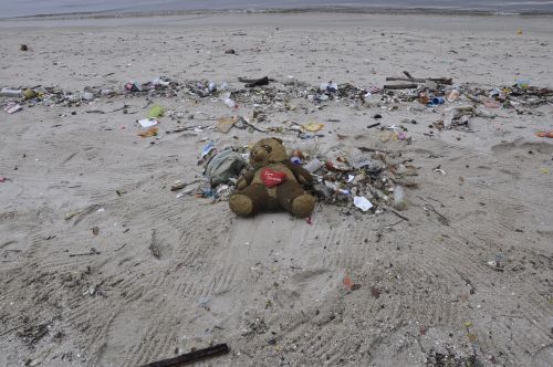 pollution teddy bear beach