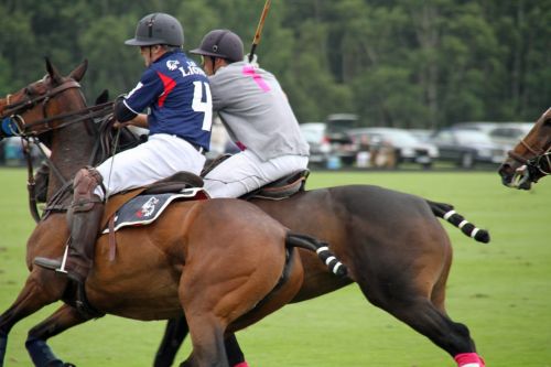 polo players horses