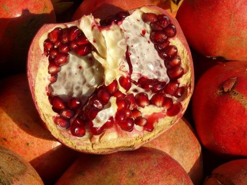pomegranate fruit apple