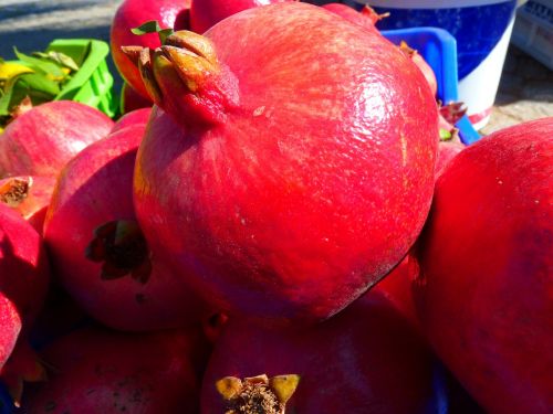 pomegranate red fruit