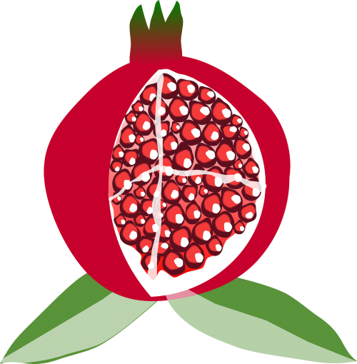 pomegranate fruit cut