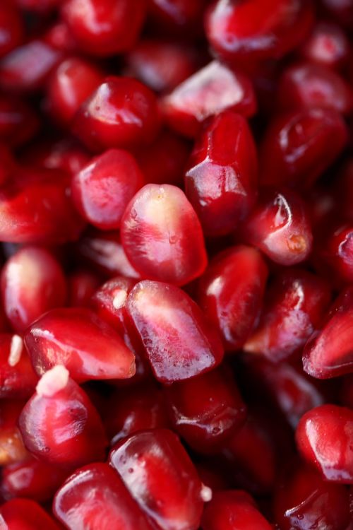 pomegranate fruit red