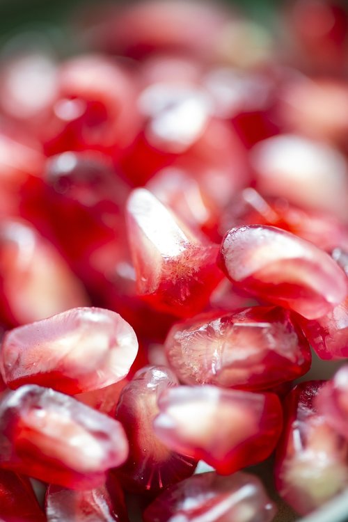 pomegranate  red  macro