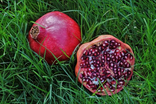 pomegranate  pips  fruit