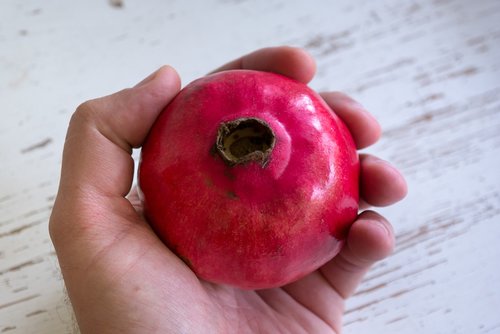 pomegranate  table  red