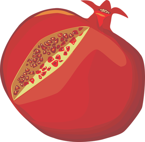 pomegranate  red  rimon