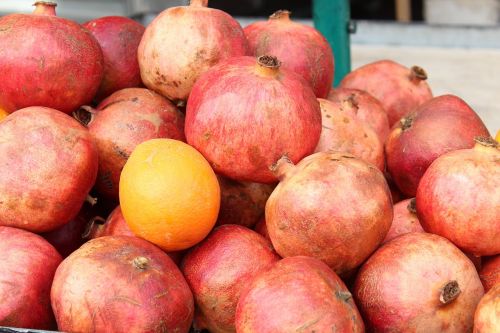 pomegranate fruit red