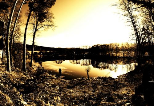 pond water solitude