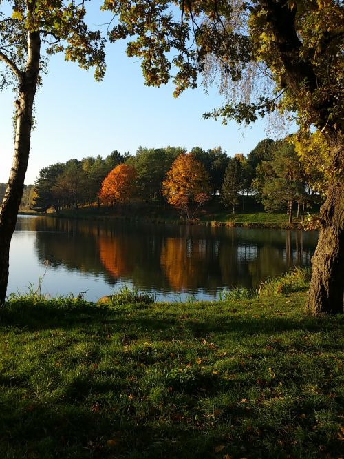 pond fall nature