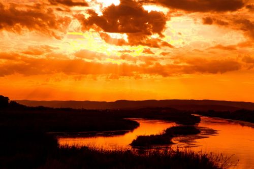 pond sunset summer