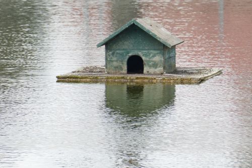 entenhaus pond water