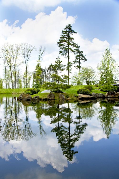 pond lake reflection