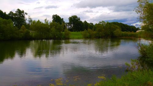 pond fishing trees