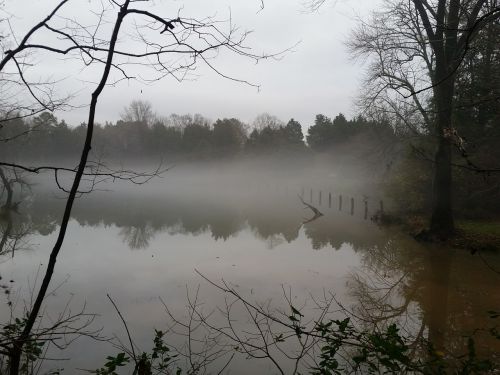 pond lake calm