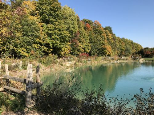 pond autumn fall