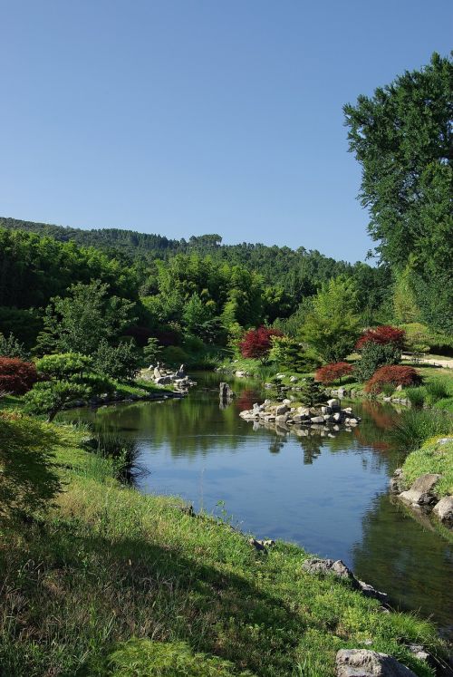 pond nature landscape