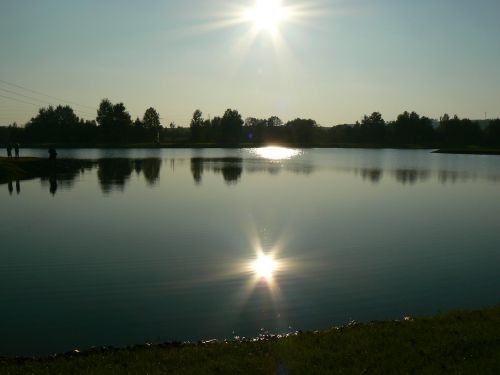 pond sun water