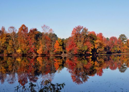 pond fall serene