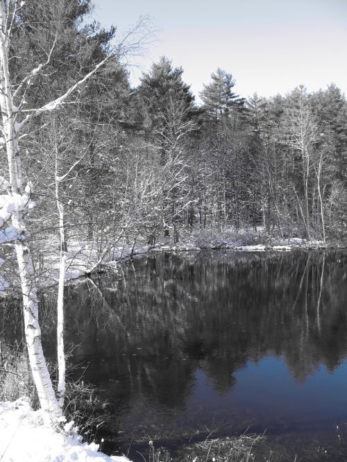 pond snow nature