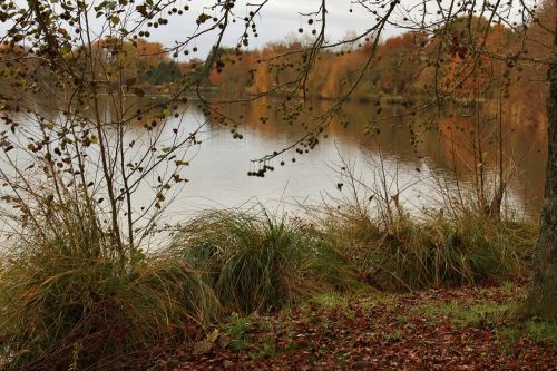 pond fall nature