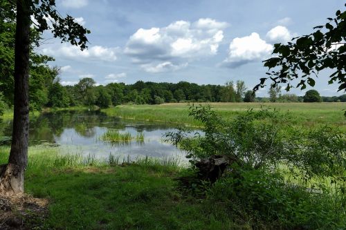 pond lake landscape