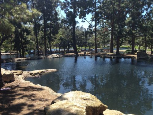 pond california outdoors
