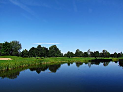 pond water field