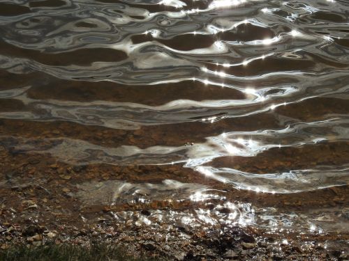 pond water lake