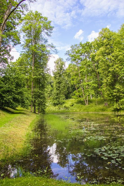 pond park landscape