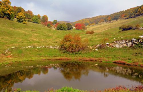 pond autumn trees