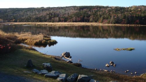 pond water reflection