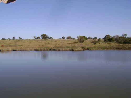 pond brazil blue lagoon