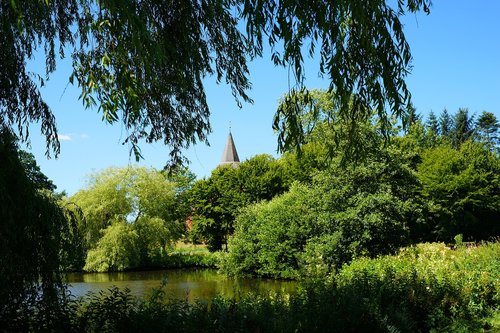 pond  trees  water