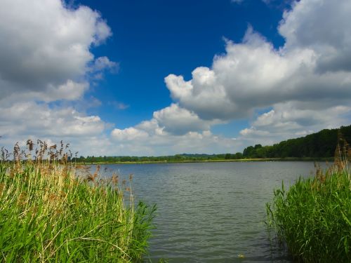 pond water clouds