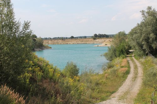 pond  swim  water