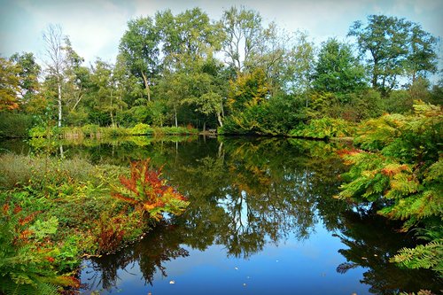 pond  water  banks