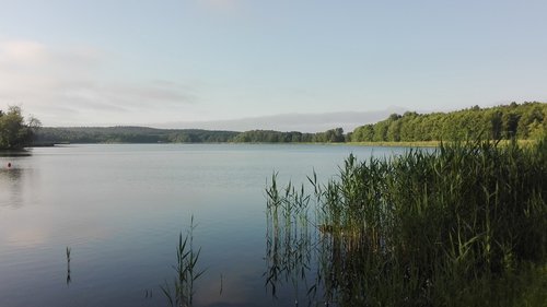 pond  sunrise  nature