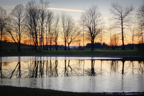 pond  water  mirroring