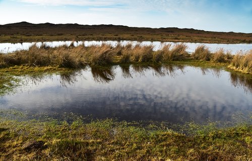 pond  lake  water