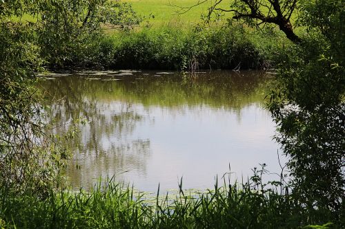 pond pools river