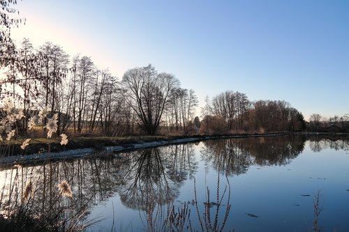 pond  water  mirroring