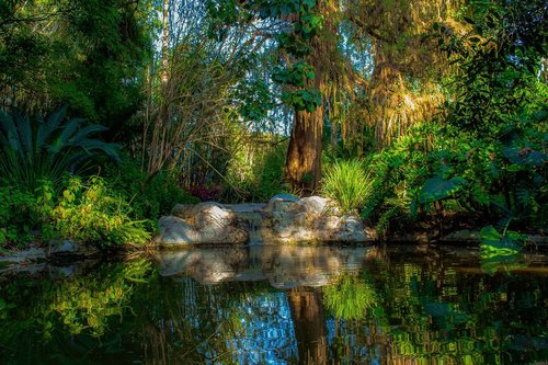 pond  peaceful  nature