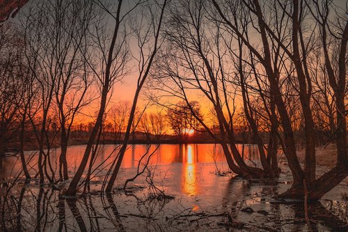 pond  lake  evening