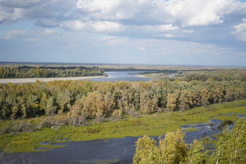 pond  swamp  autumn