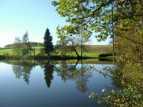 pond water mirroring