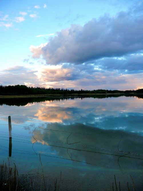 pond water weather