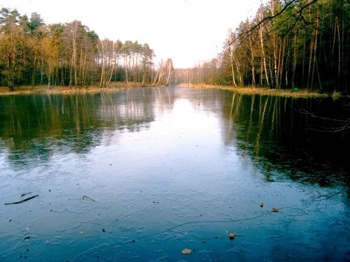 pond view water